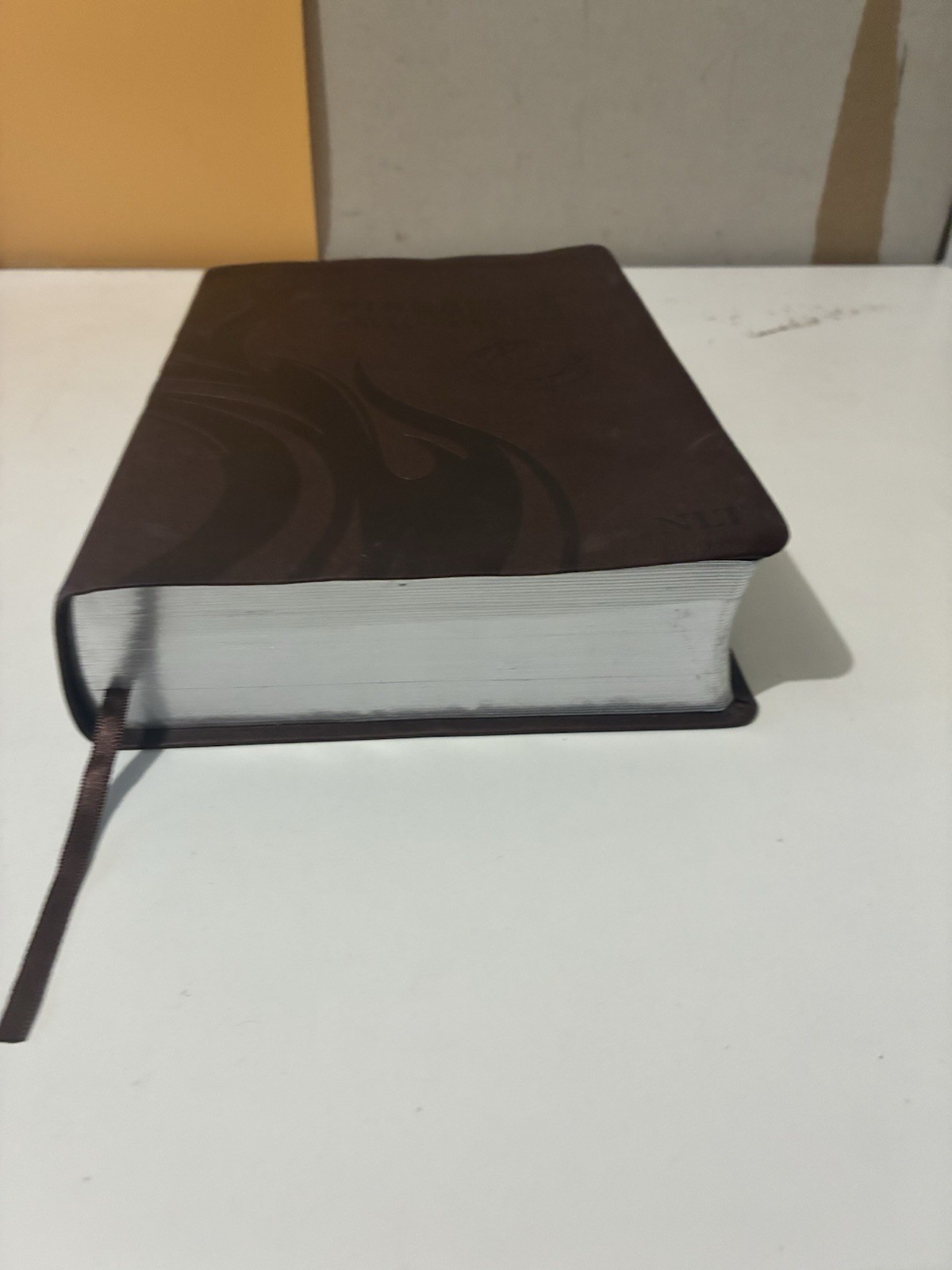 FIRE BIBLE New living Translation Chi Alpha Edition Leather Soft Cover