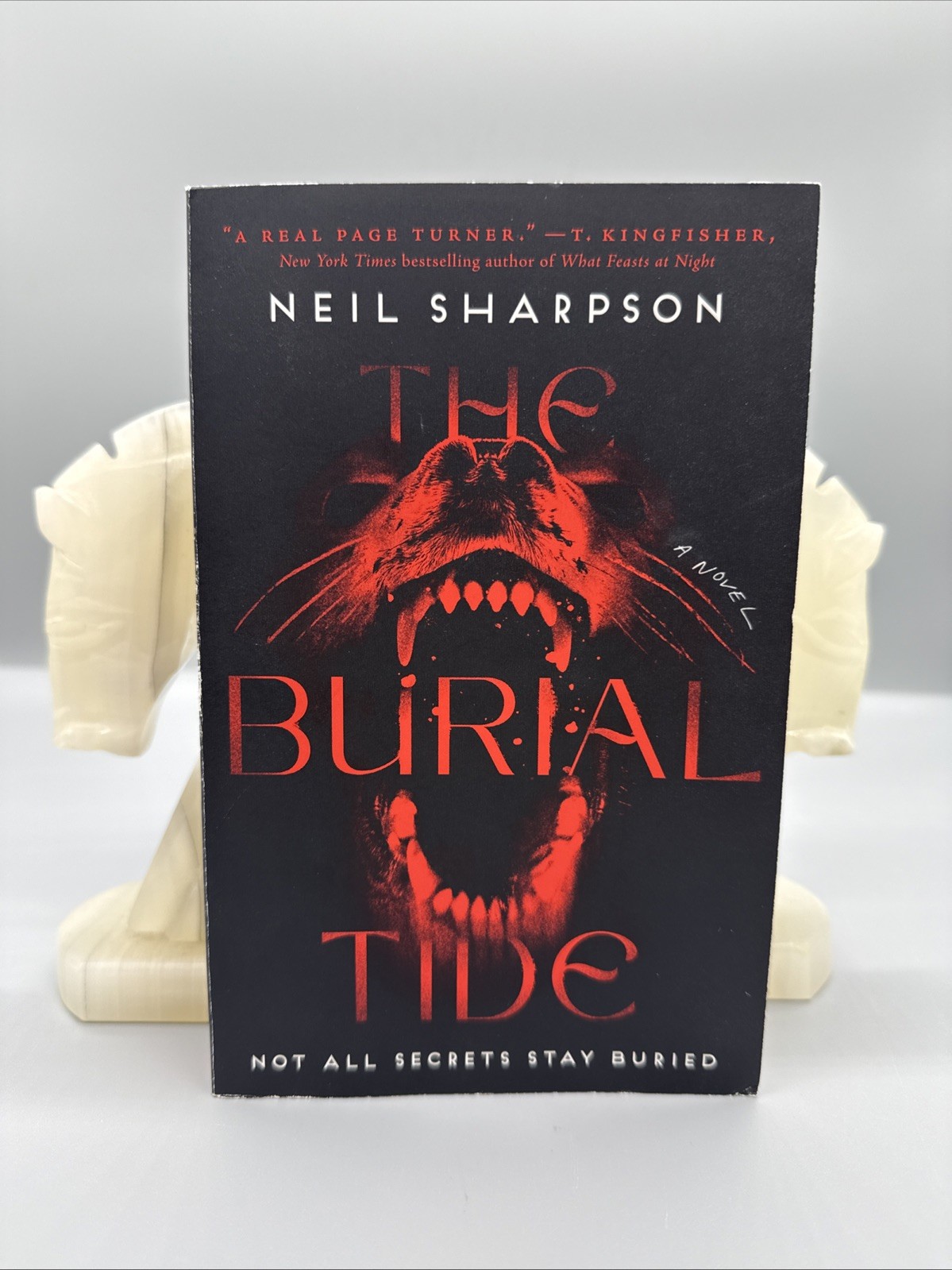 The Burial Tide, Sharpson, Neil, Very Good Book Paperback – Zando 2025