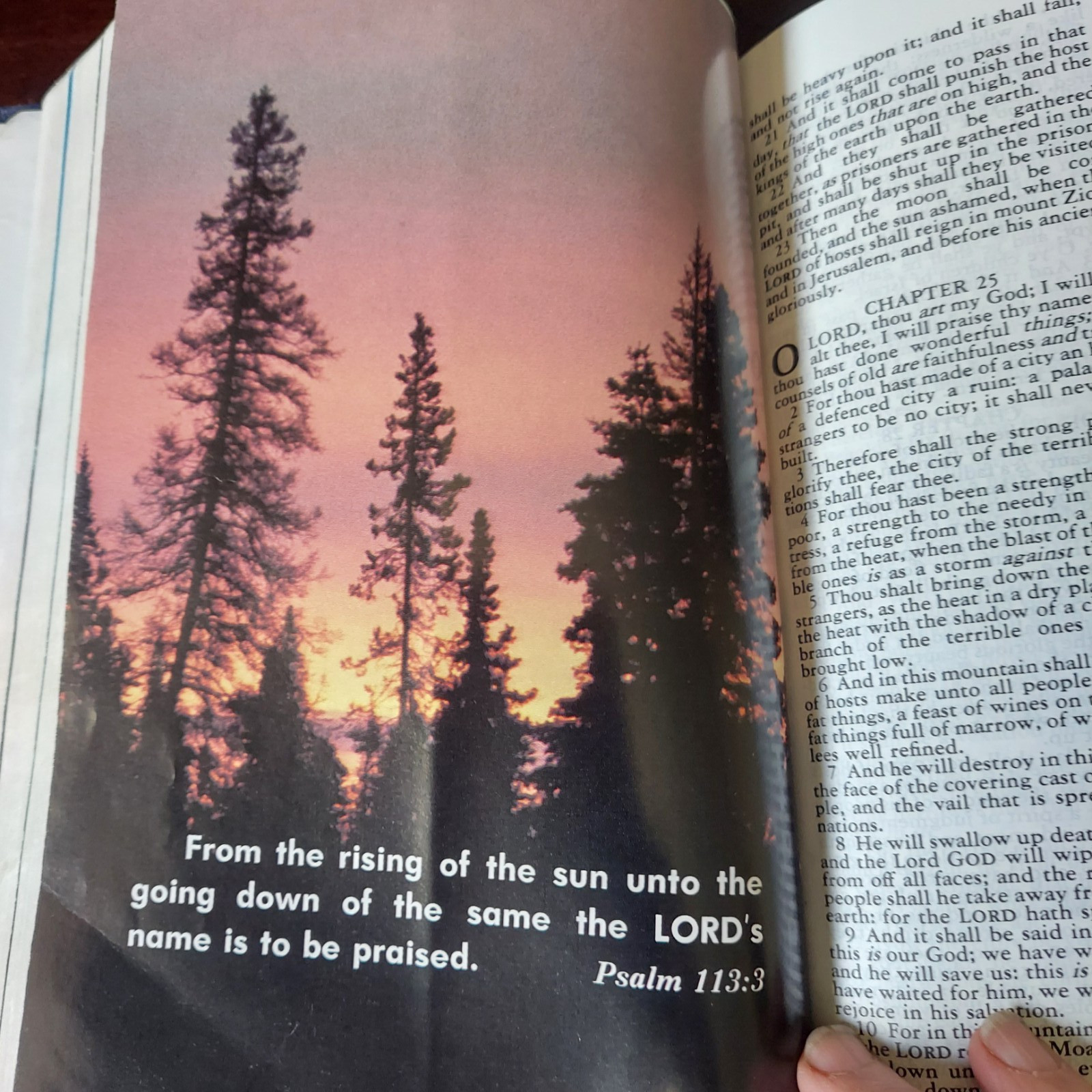 Lot Of 2 Holy Bibles – Versions: New World Translation Watchtower & King James