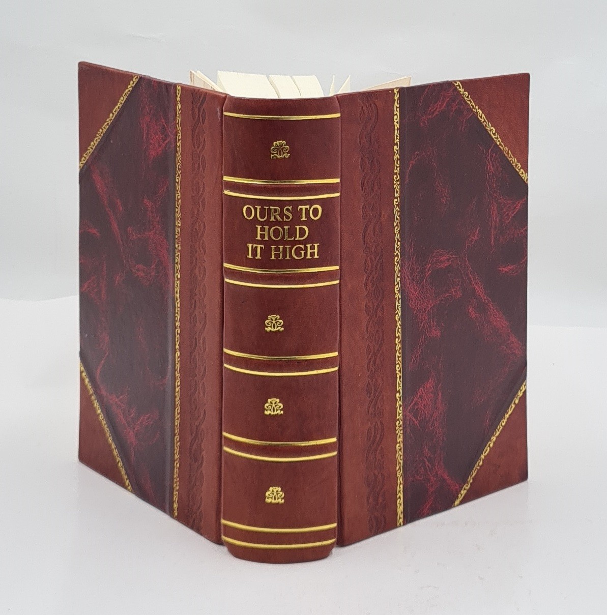 Ours To Hold It High The History Of The 77th Infantry Division I [Leather Bound]