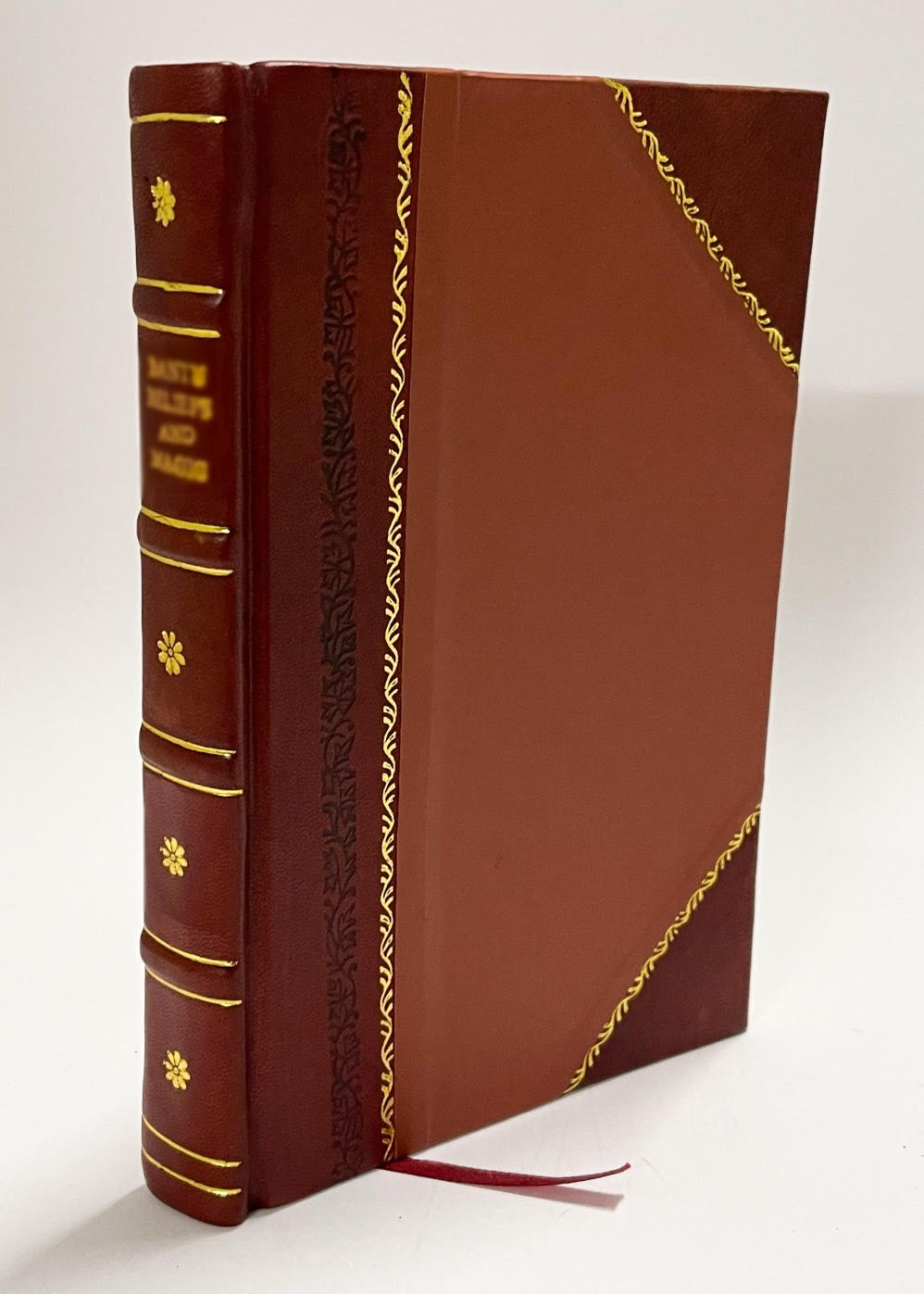 Officialis Curiae Ecclesiasticae … by Augustinus Mathaeucci [Leather Bound]