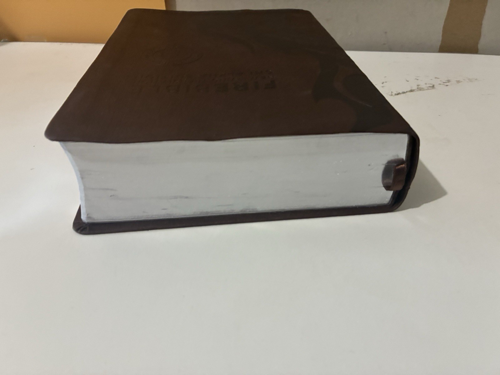 FIRE BIBLE New living Translation Chi Alpha Edition Leather Soft Cover