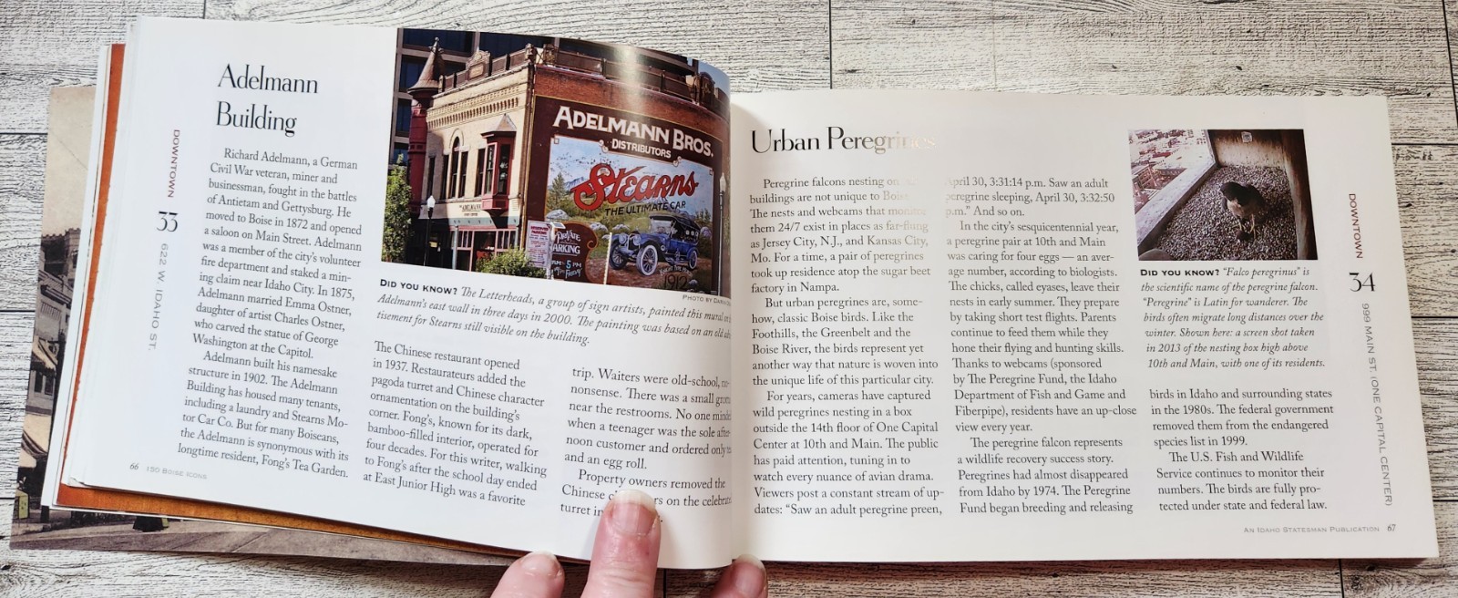 150 Boise Icons to Celebrate the City’s Sesquicentennial ~ Anna Webb ~ 2013