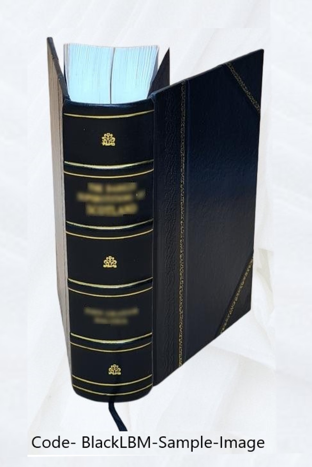 The Stoic Bible 1920 By Marcus Aurelius, Seneca, Epictetus [Leather Bound]