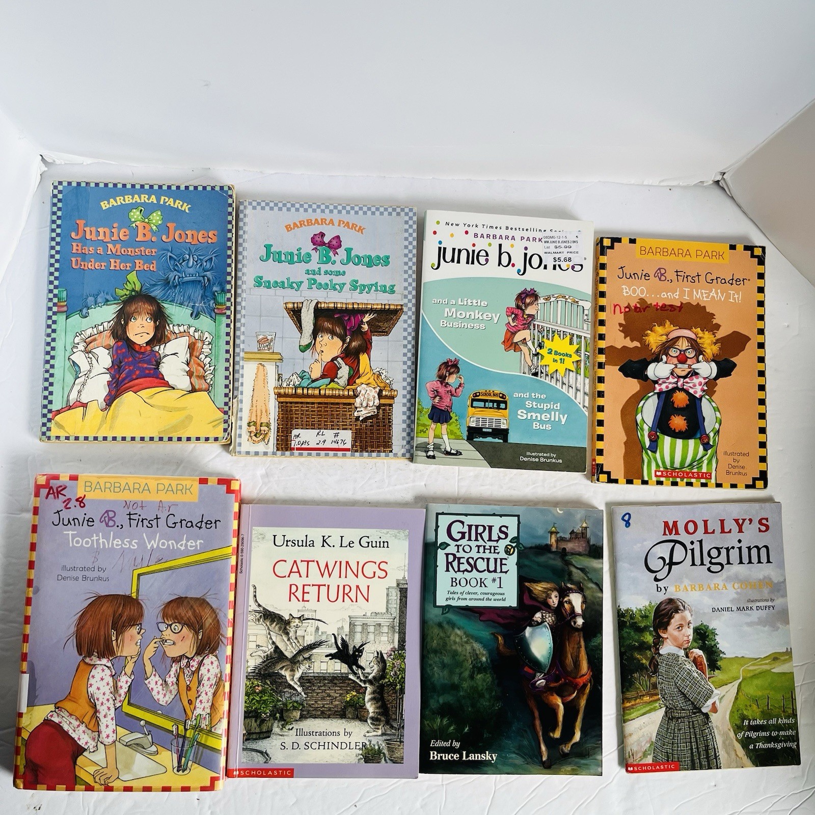 Lot of 10 Chapter Books Mixed Lot 2nd 3rd Grade Fiction Classroom Library Set