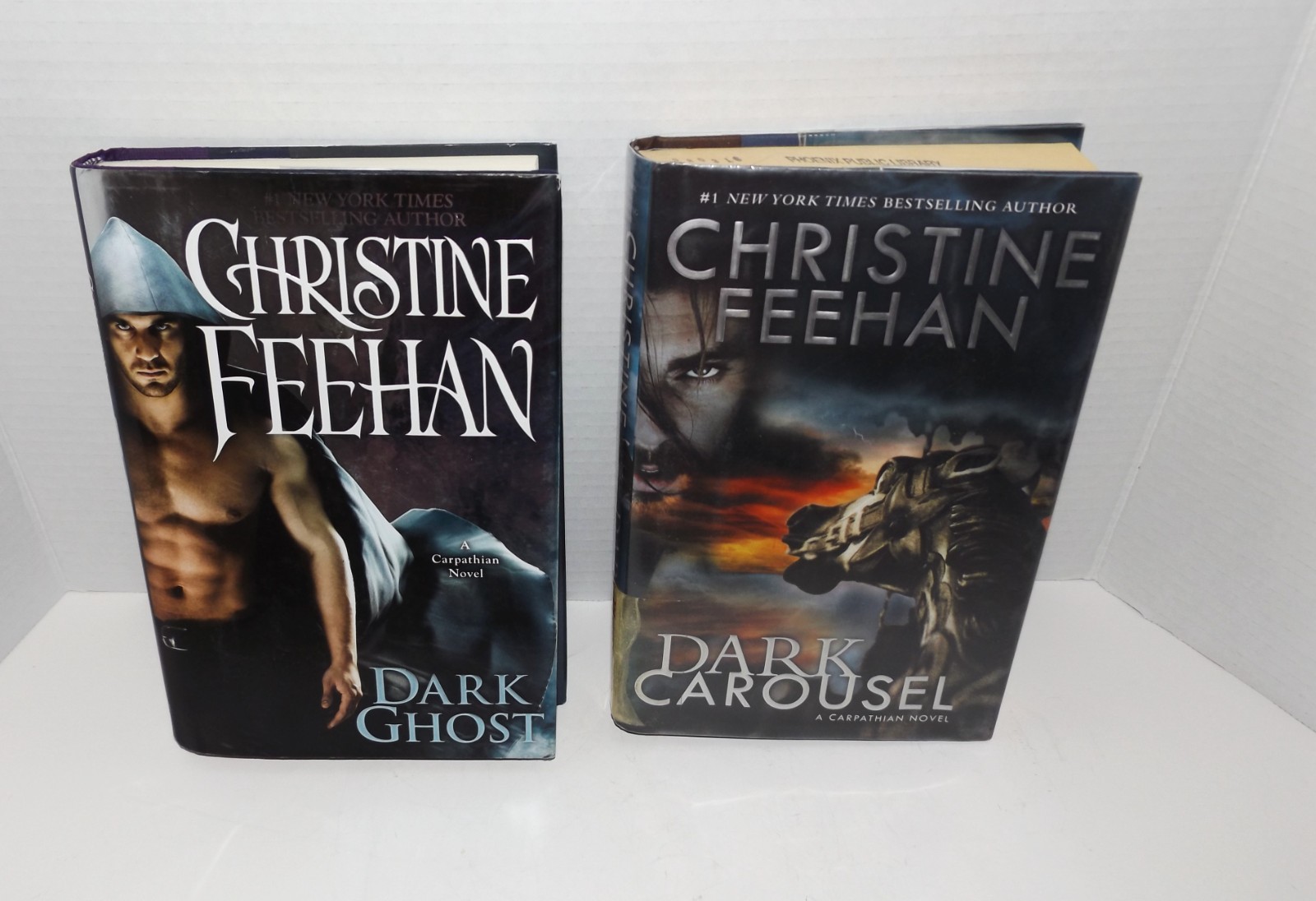 Dark Series Novels #26-30 Adult Paranormal Romance Christine Feehen