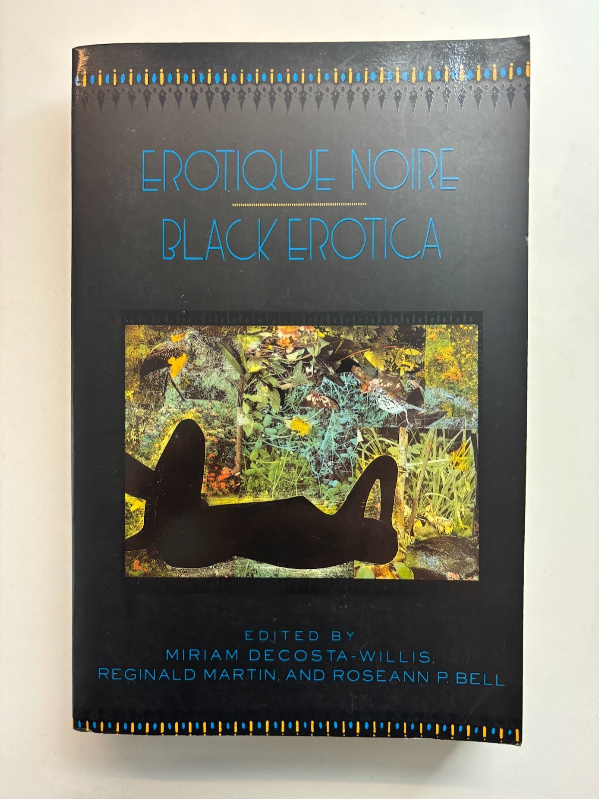 Black/queer erotic fiction (1990s-2010s), LGBTQIA+ short stories, poetry, novel
