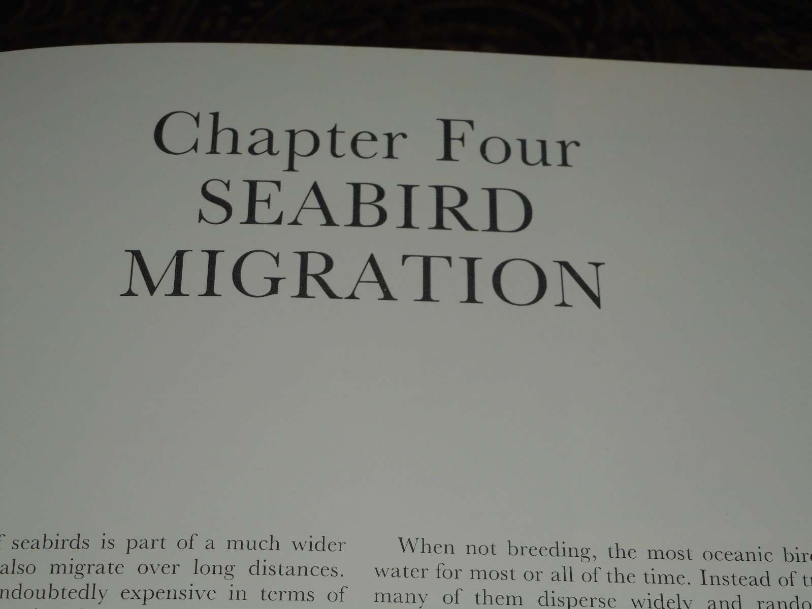 Ocean Birds Lars Lofgren 1984 HC/DJ 1st Edition Orinthology SEABIRDS Textbook