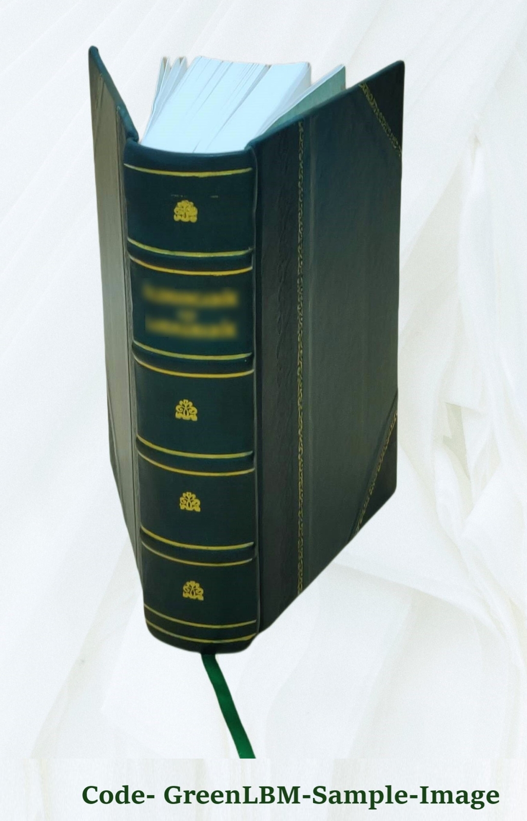 Athanasii Kircheri e Soc. Jesu mundus subterraneus, in XII libro [Leather Bound]