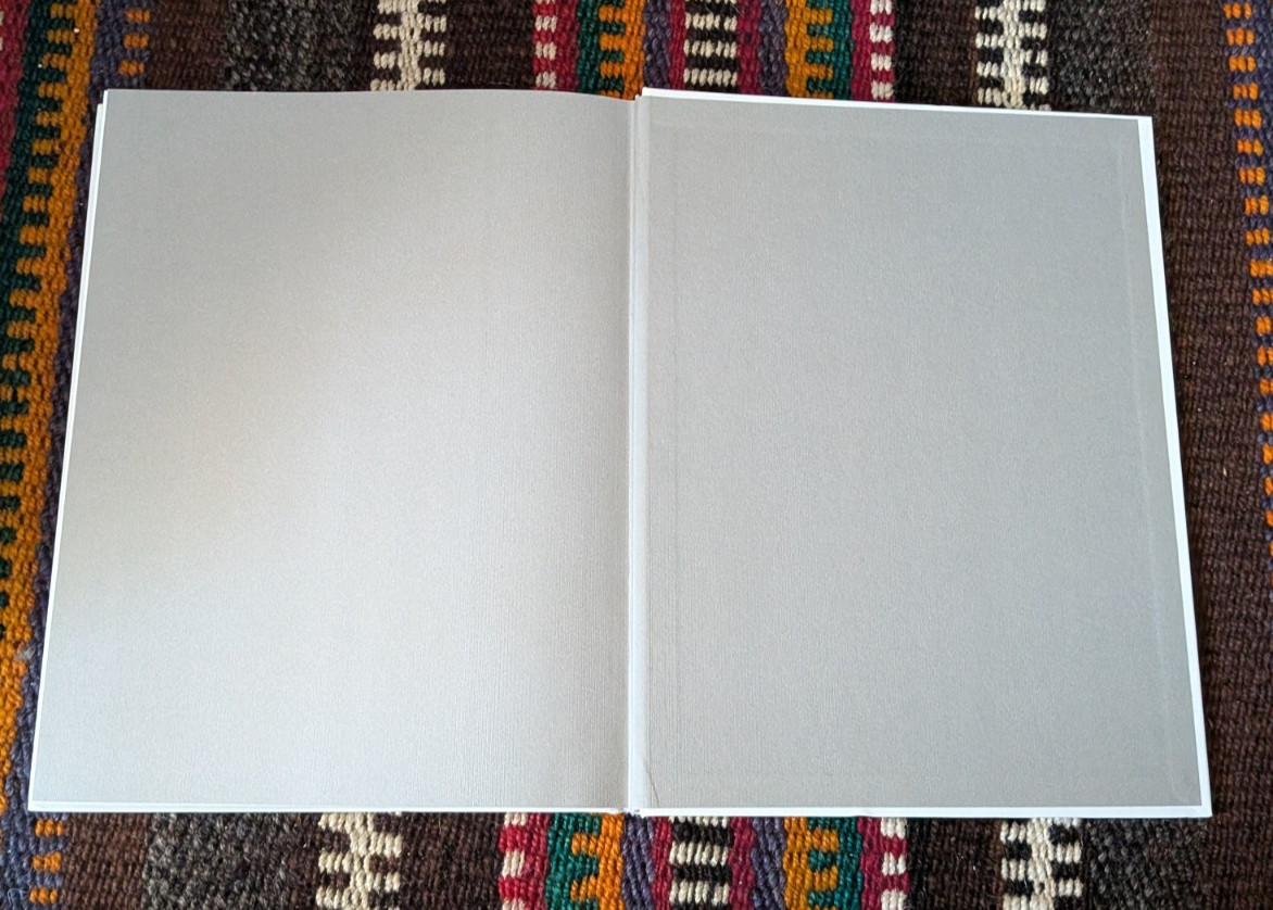 Annie Leibovitz/Susan Sontag BOOK Women 1999 1st Ed HC Photography Art FREE ShiP