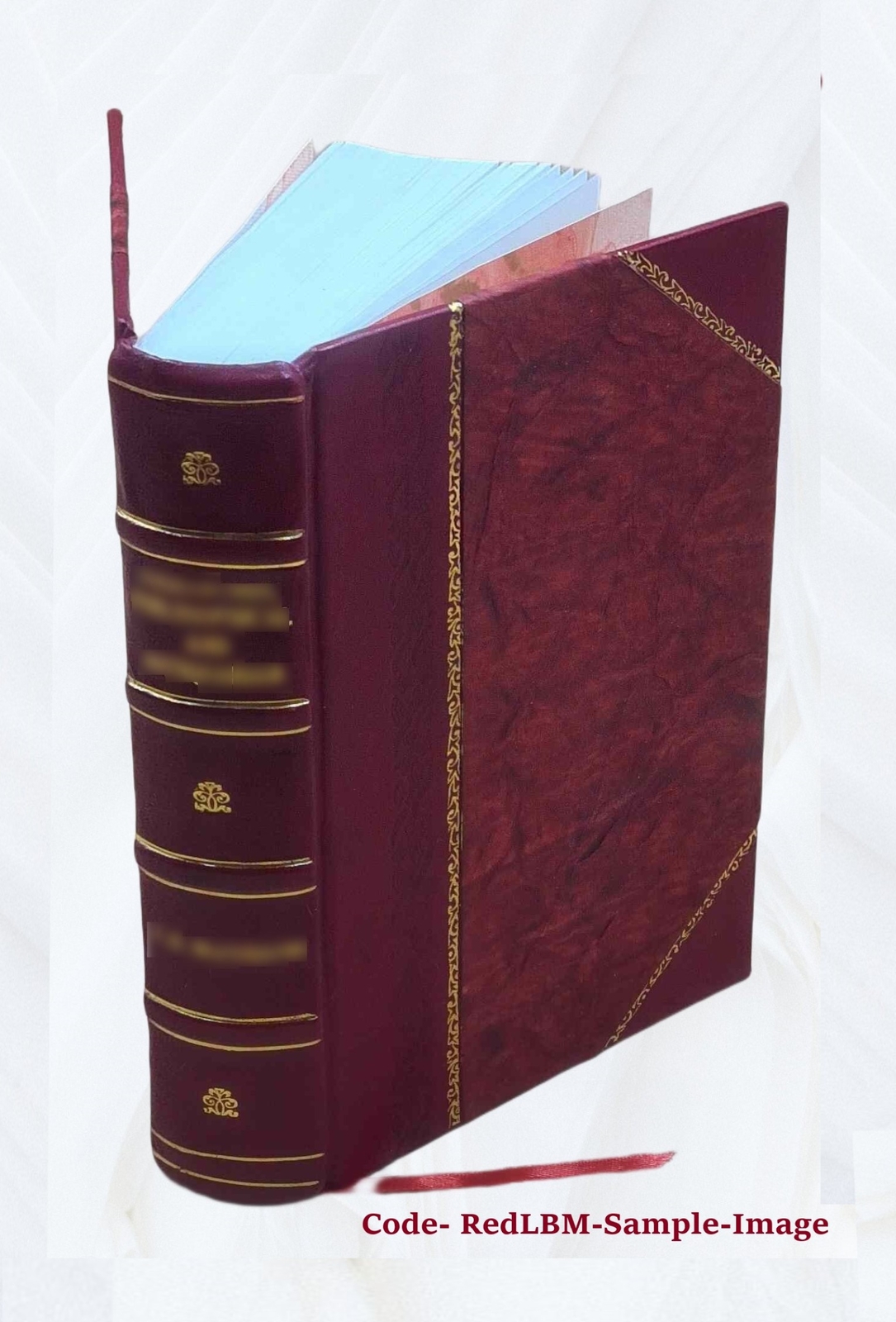 Athanasii Kircheri e Soc. Jesu mundus subterraneus, in XII libro [Leather Bound]