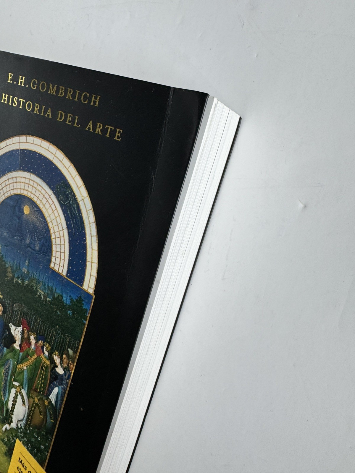 EH Gombrich Historia Del Arte 16 Edición Story of Art 16th Edition Spanish book