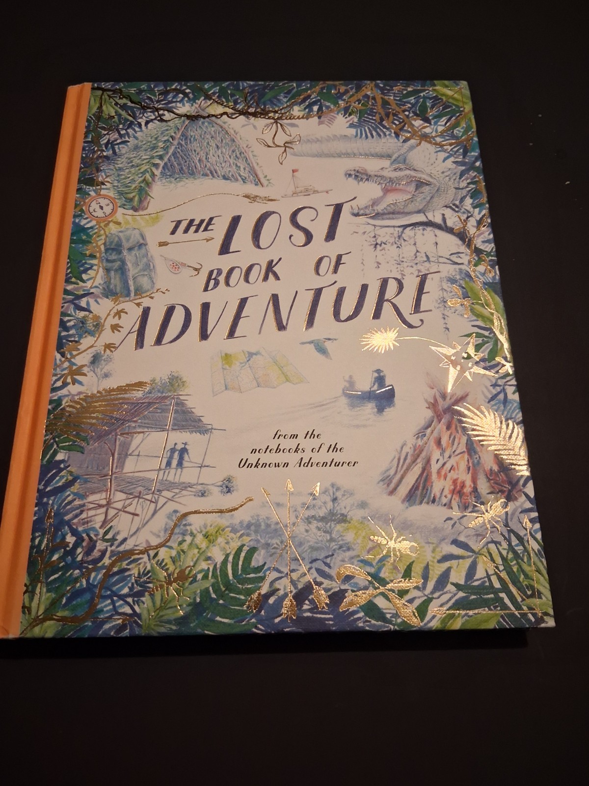 The Lost Book of Adventure: Notebooks of the Unknown Adventurer HC 2019