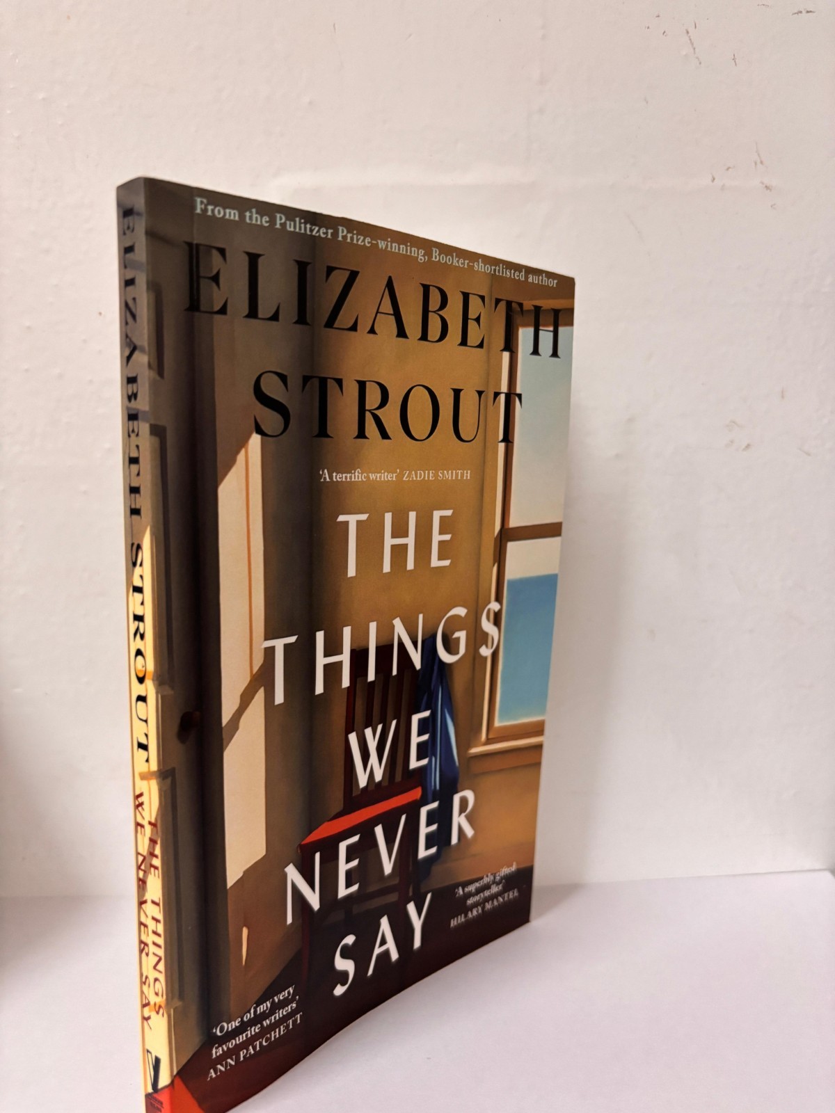The Things We Never Say by Elizabeth Strout Paperback New Book US