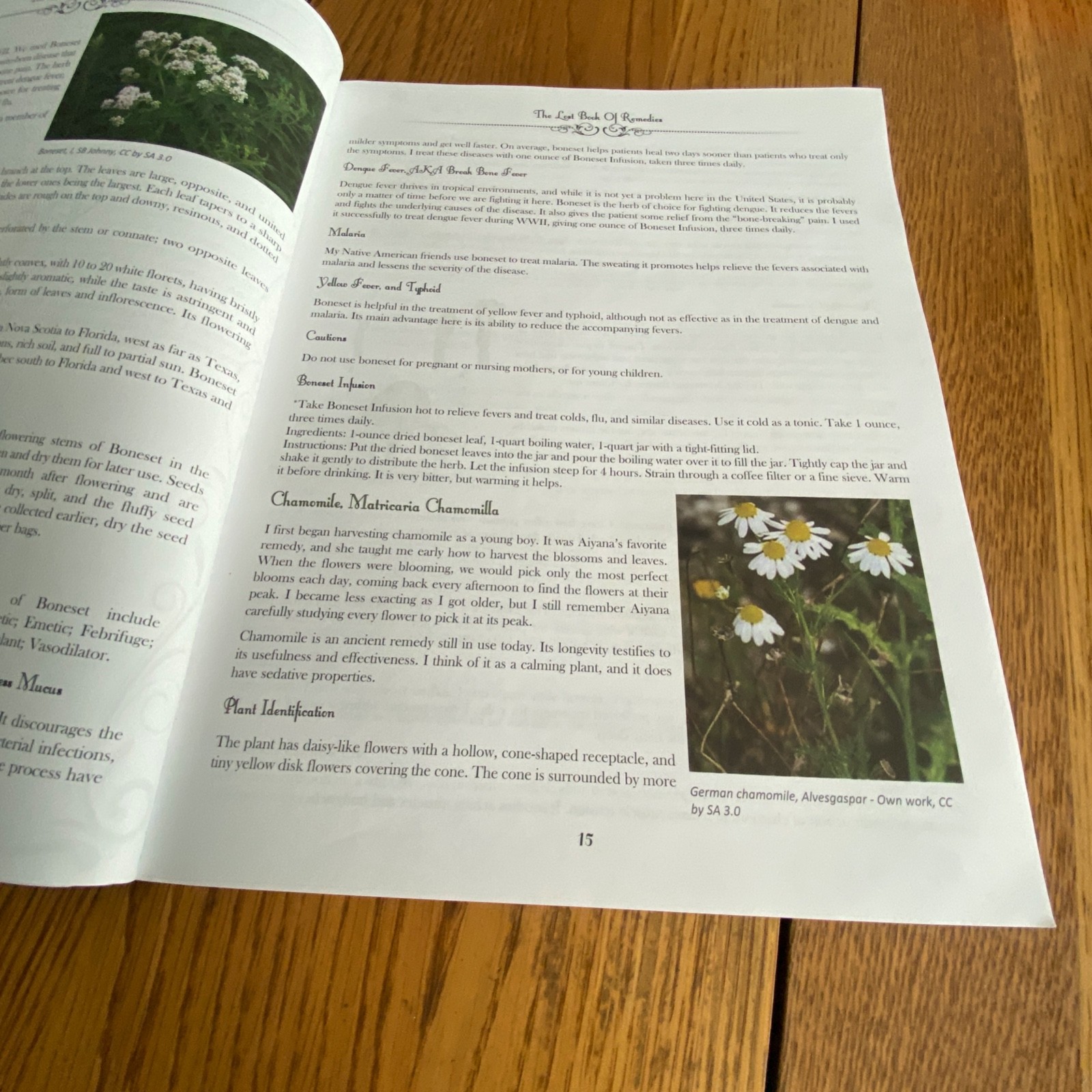 Holistic Guide to Wellness & Lost Book of Herbal Remedies Paperback