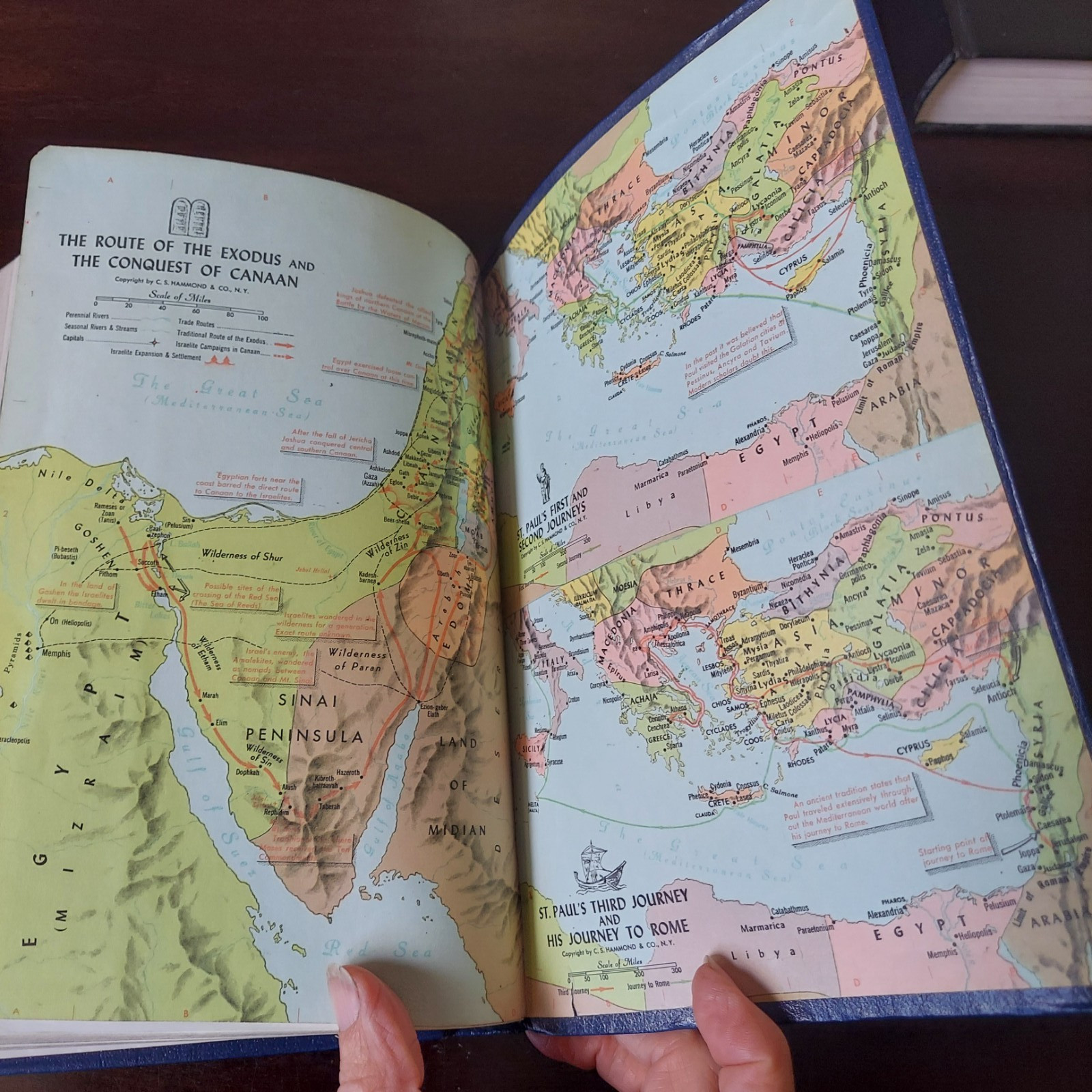 Lot Of 2 Holy Bibles – Versions: New World Translation Watchtower & King James