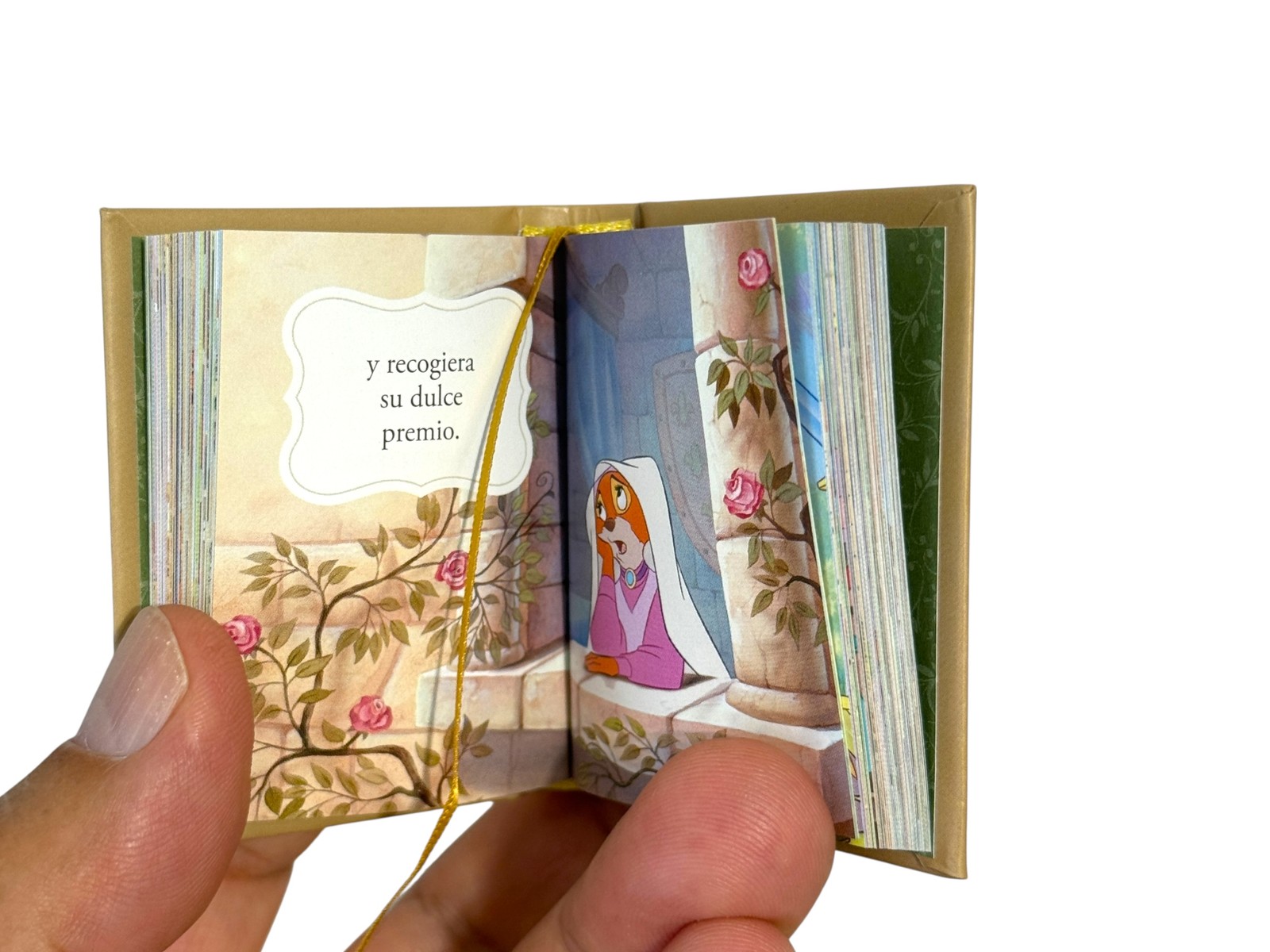 Robin Hood in Spanish Mini Book w/ slipcase hardcover 190 pag color illustrated
