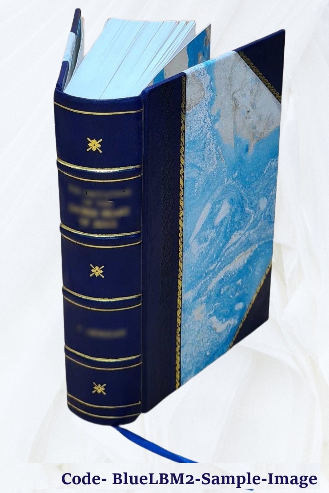And Quiet Flows The Don; A Novel 1900 [Leather Bound]