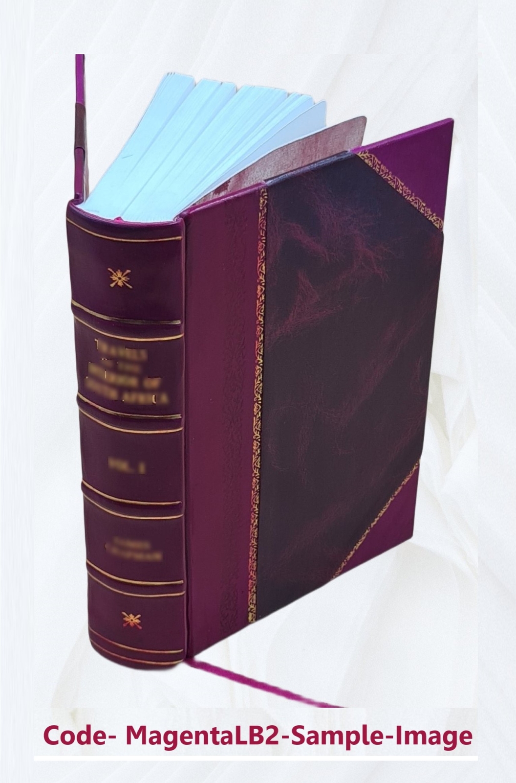 Our Lady Of Lourdes 1906 By Lasserre, Henri [Leather Bound]