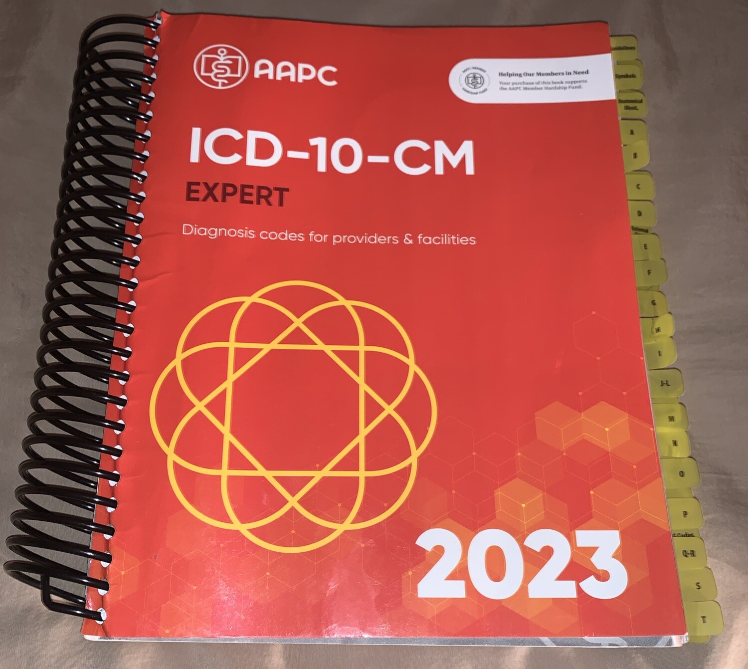 ICD-10-CM 2023 Expert Diagnosis Codes for Providers & Facilities by AAPC