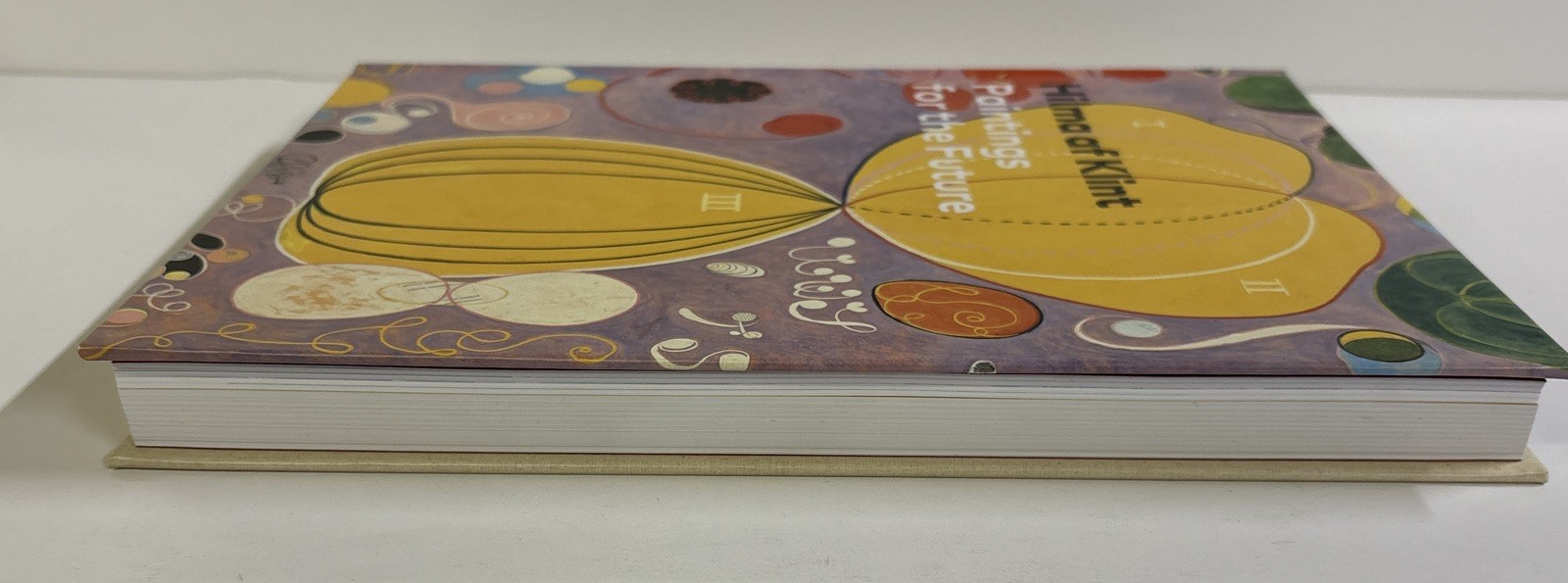 Hilma af Klint Paintings for the Future, Hardcover 2019 Preowned