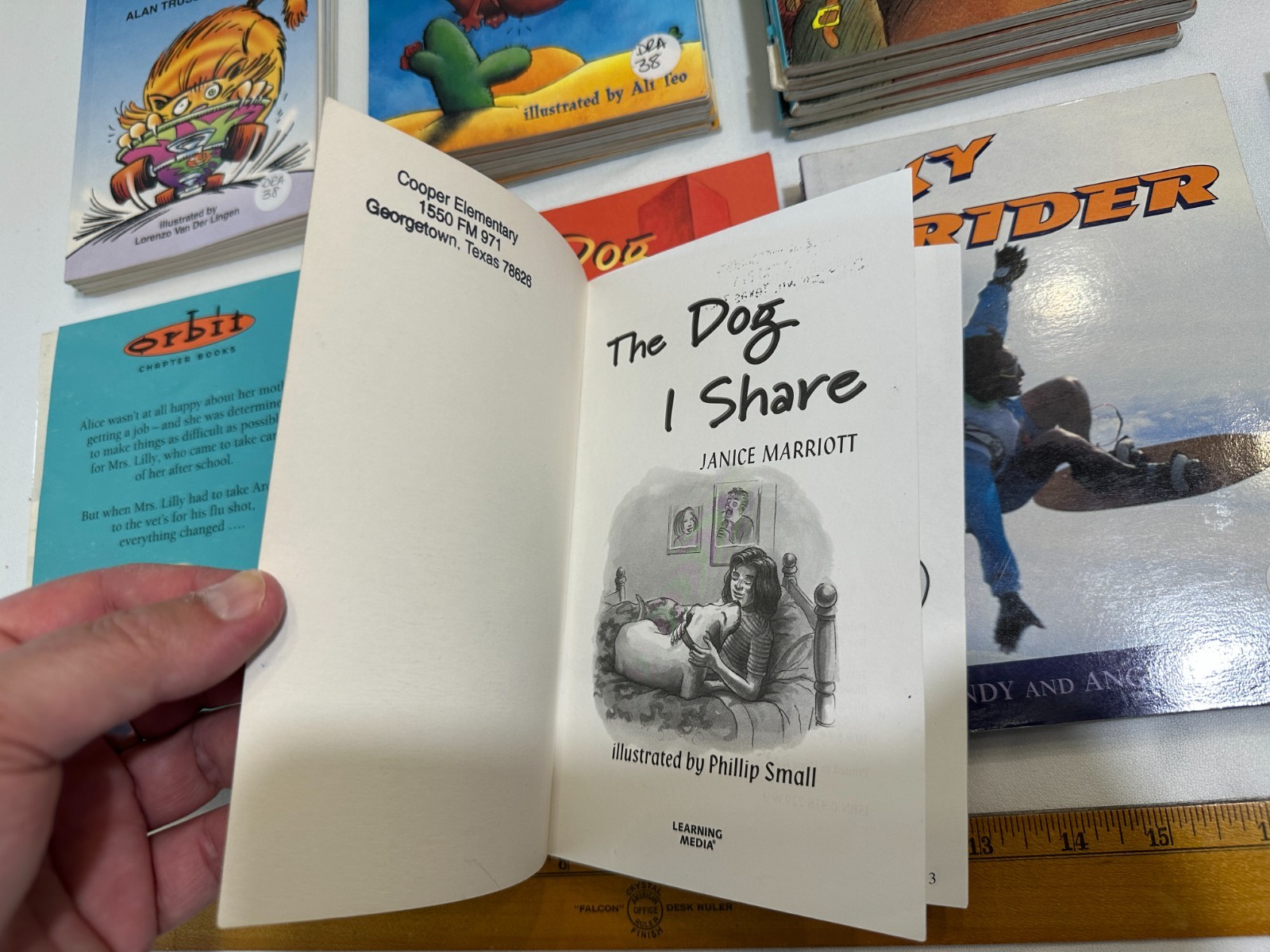 7 Orbit Chapter Books Guided Reading Classroom Teacher Homeschool DRA 38 DRA 40