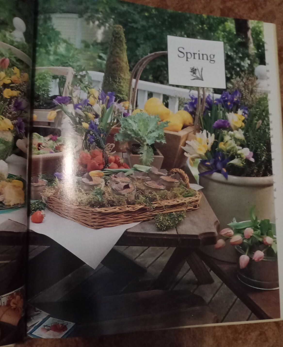 Vintage 1992 Betty Crocker’s Easy Entertaining Julie Turnbull/Editors 161 Pages