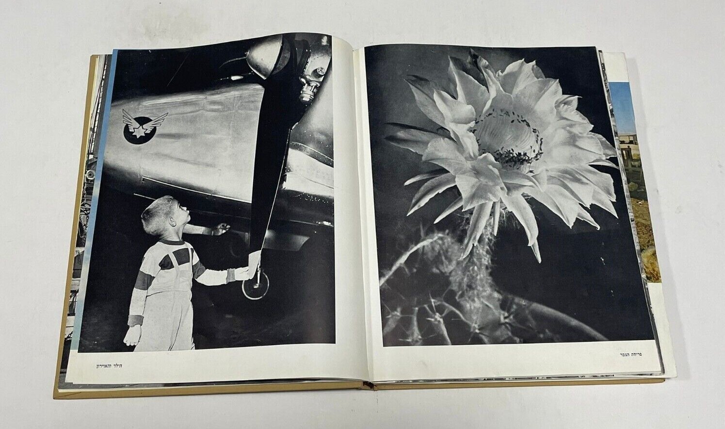 Israel 10th ANNIVERSARY,Judaica Book,w Photos,Hebrew, David Ben Gurion, 1958