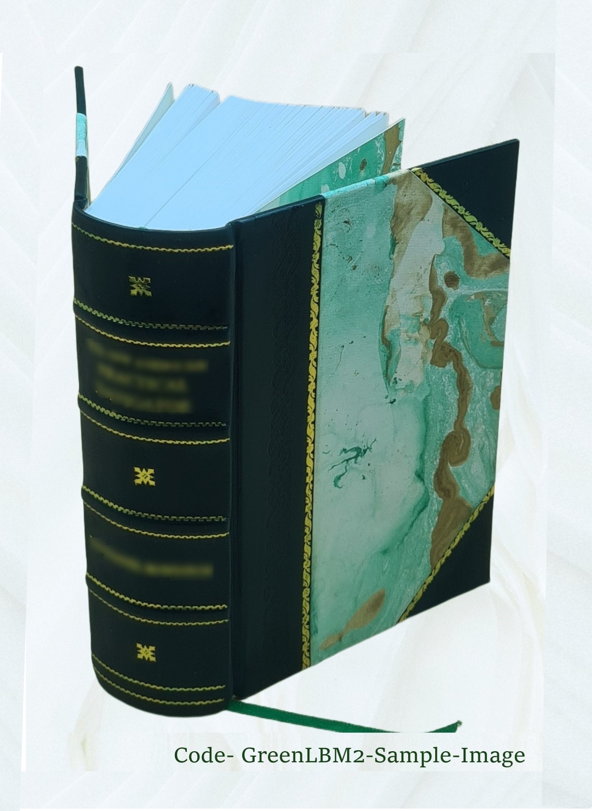 Athanasii Kircheri e Soc. Jesu mundus subterraneus, in XII libro [Leather Bound]