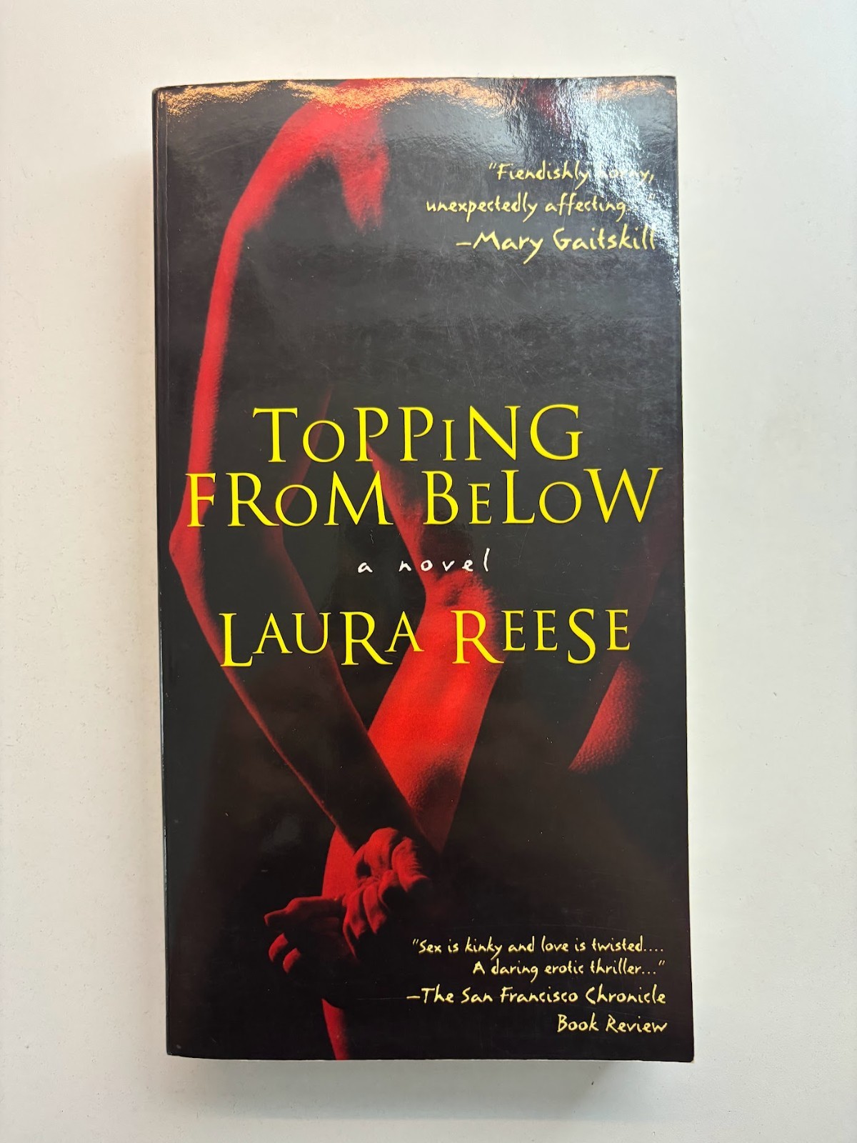 Black/queer erotic fiction (1990s-2010s), LGBTQIA+ short stories, poetry, novel