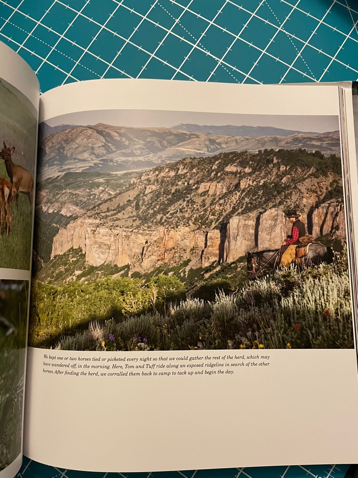 Unbranded by Ben Masters, Ben Thamer, Jonathan C. Fitzsimons, Thomas Glover and