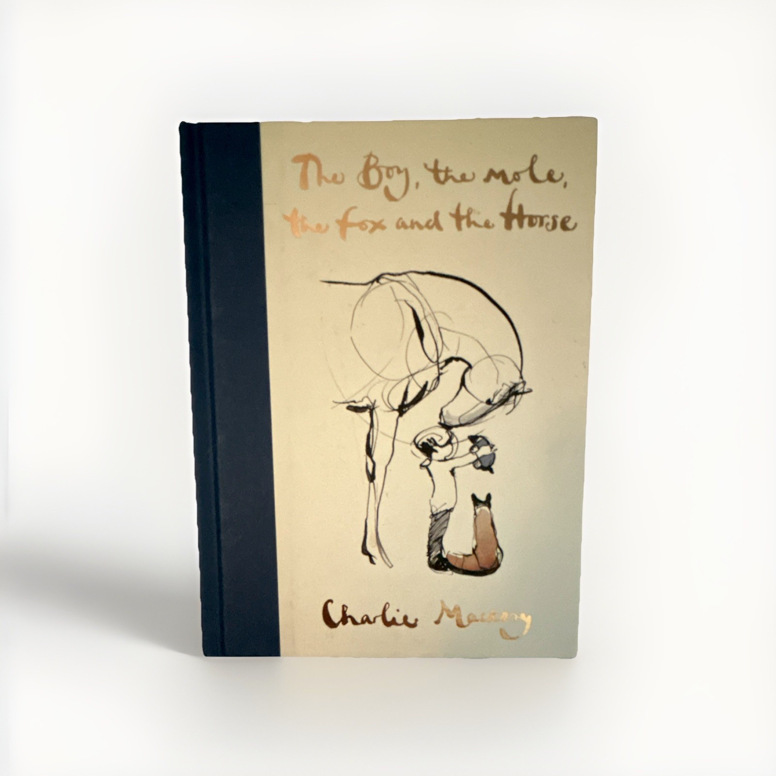Ebury Press The Boy, the Mole, the Fox and the Horse HC Illustrated 2019