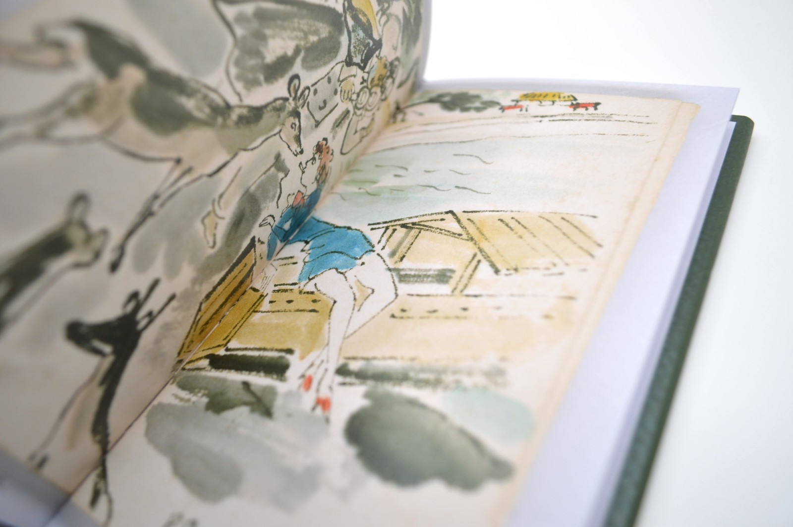 A Foujita Diary, 12 Panoramas by Tsuguharu Foujita, 2020, HC, Artist Monograph