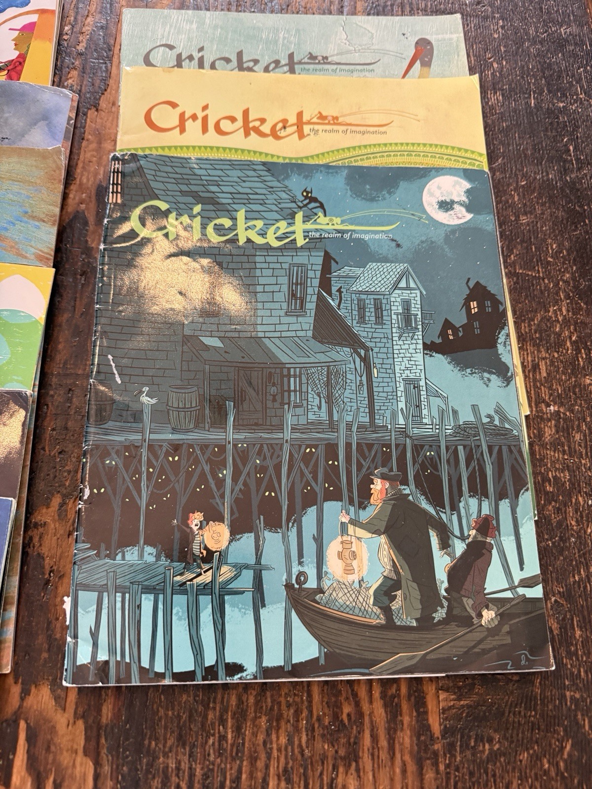 Cricket Muse Dig Cicada Spider Educational Mags 2010s Lot Of 33 Homeschool