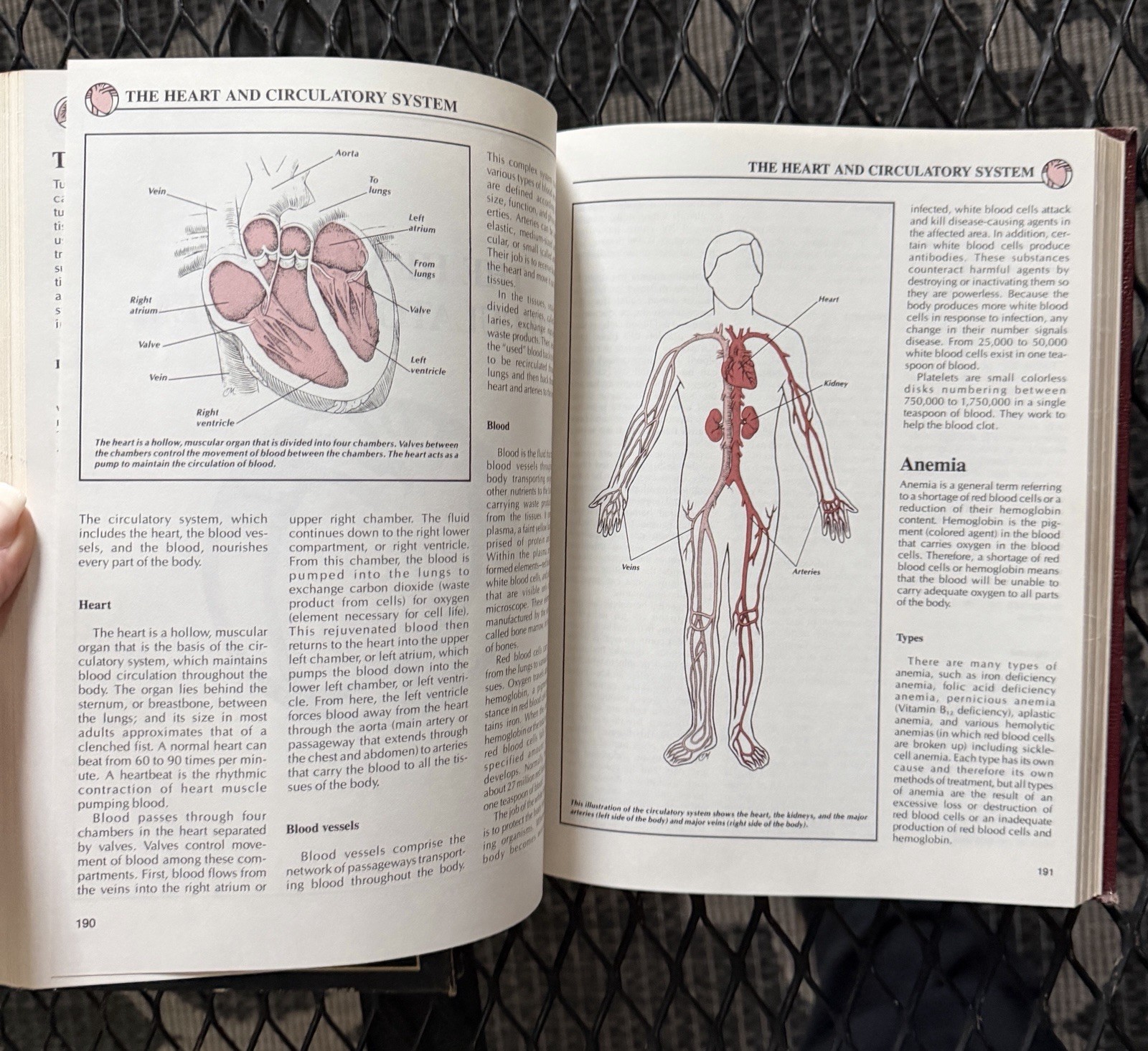Vintage Rodale Health Remedies Medical Encyclopedia Nutrition Book Lot