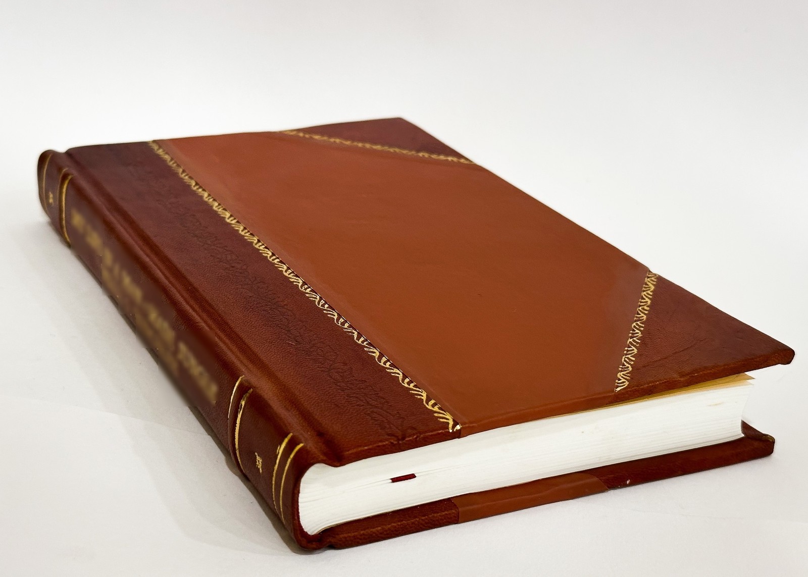 Synopsis of Risks Assumed and Benefits Guaranteed by Forty-Four [Leather Bound]