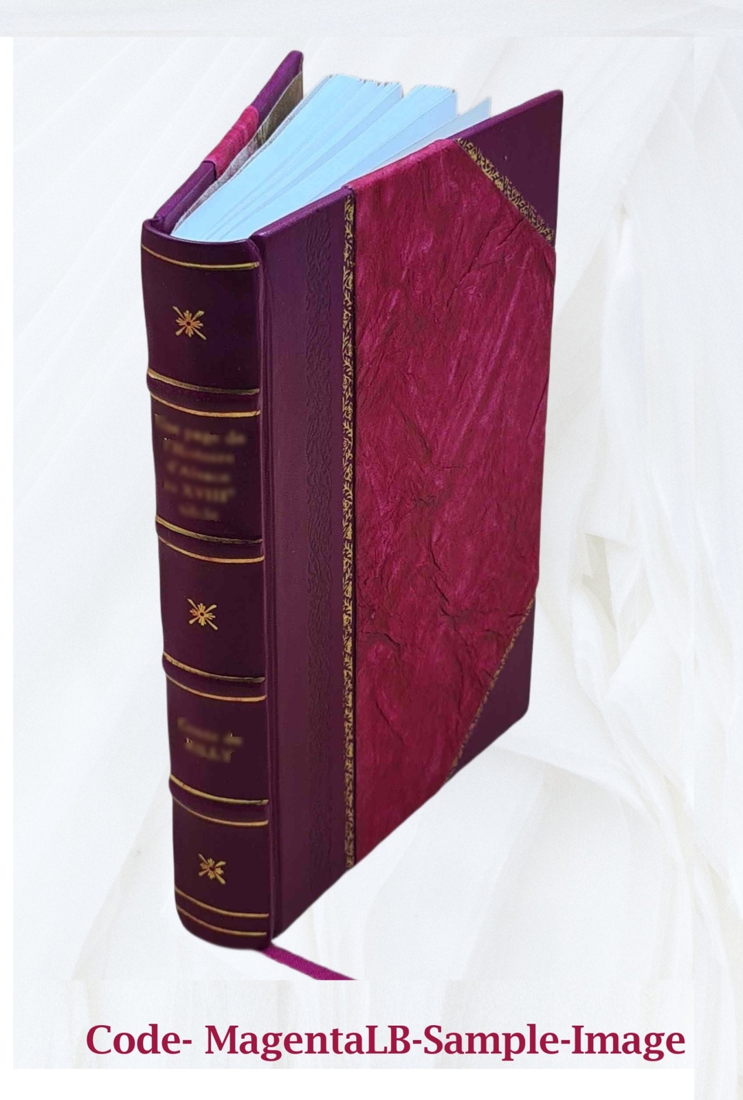 Our Lady Of Lourdes 1906 By Lasserre, Henri [Leather Bound]