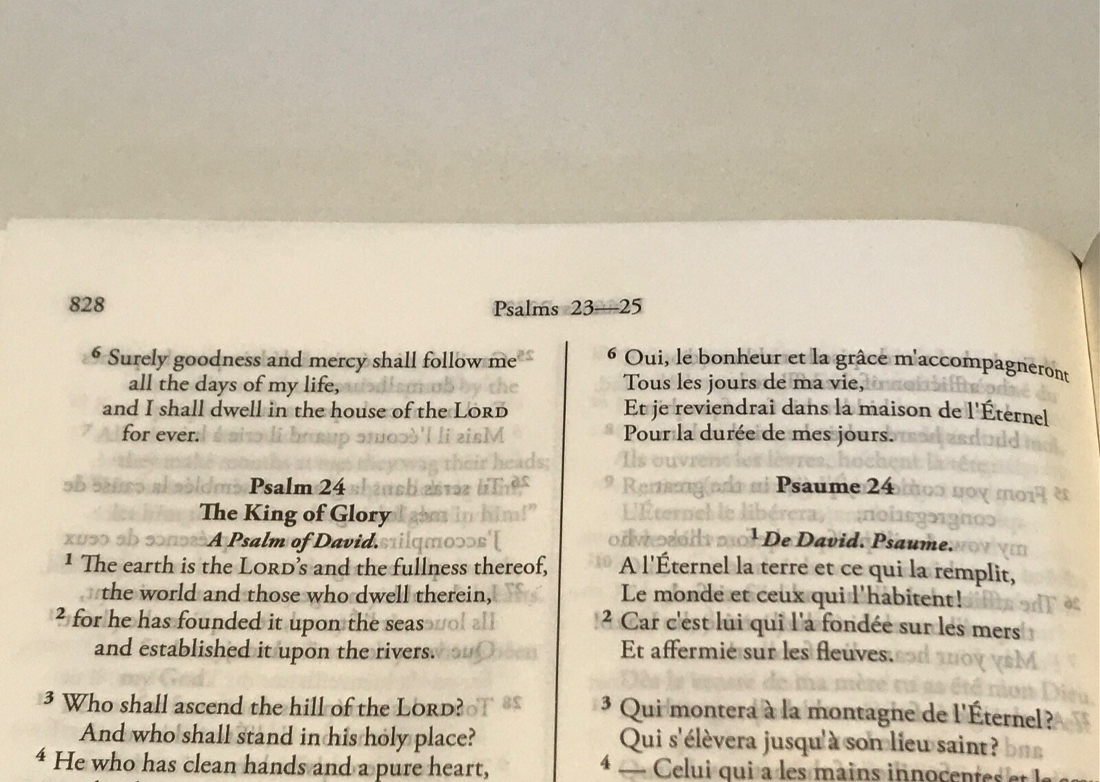 French English Parallel Bible,ESV English Standard,Revised Segond Colombe Black