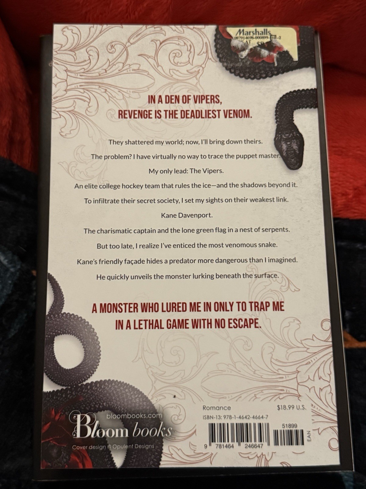 Dark Romance 2 Book Pack Plus Lights Out Magnet And Bookish Freebies
