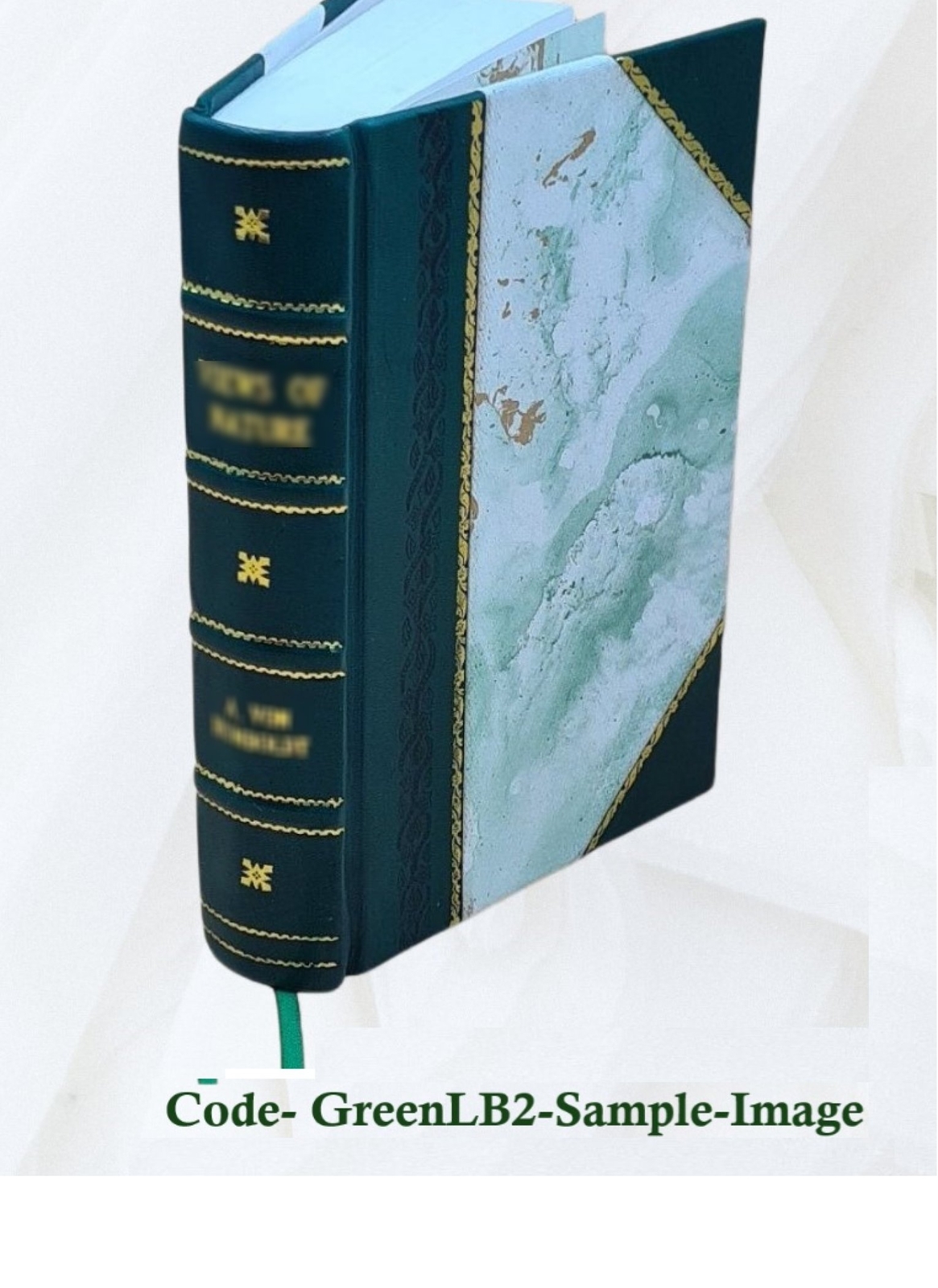 Office Book For Dominican Sisters 1941 [Leather Bound]